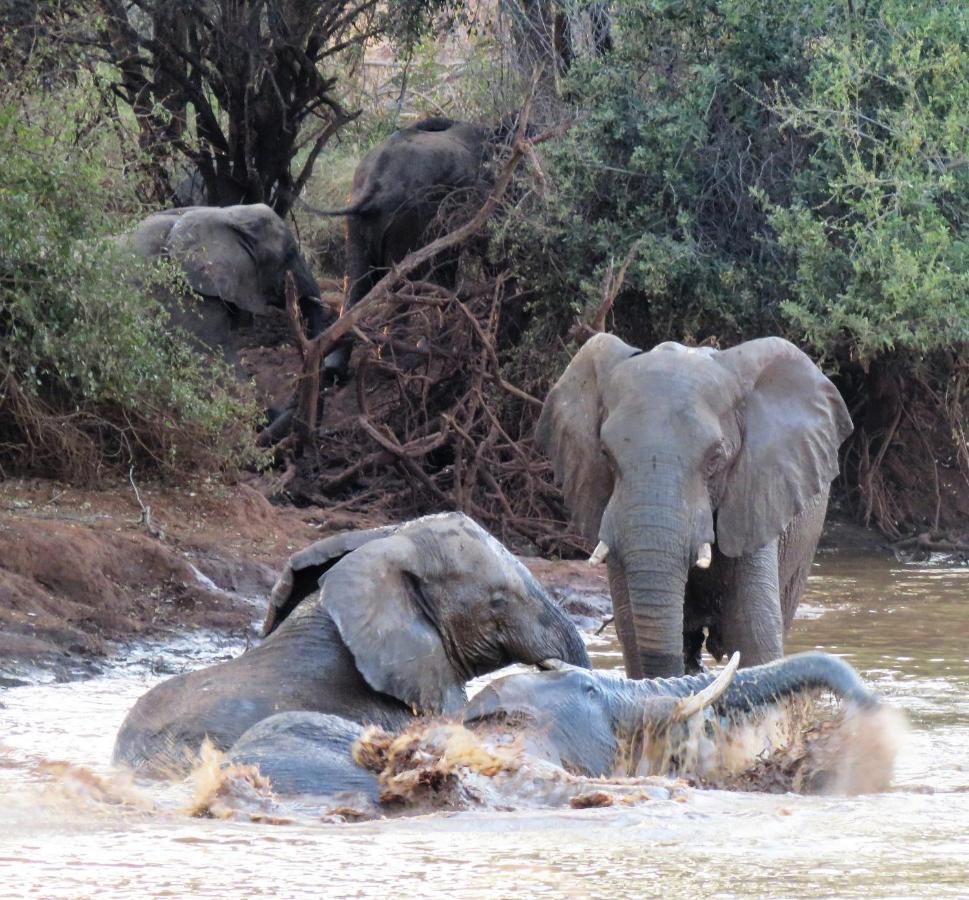 Sable Creek Safari Lodge Tzaneen Eksteriør billede