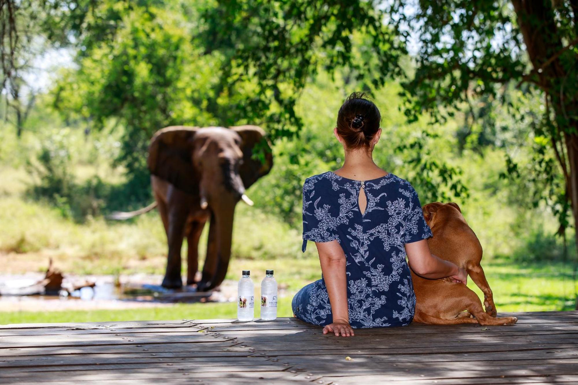 Sable Creek Safari Lodge Tzaneen Eksteriør billede