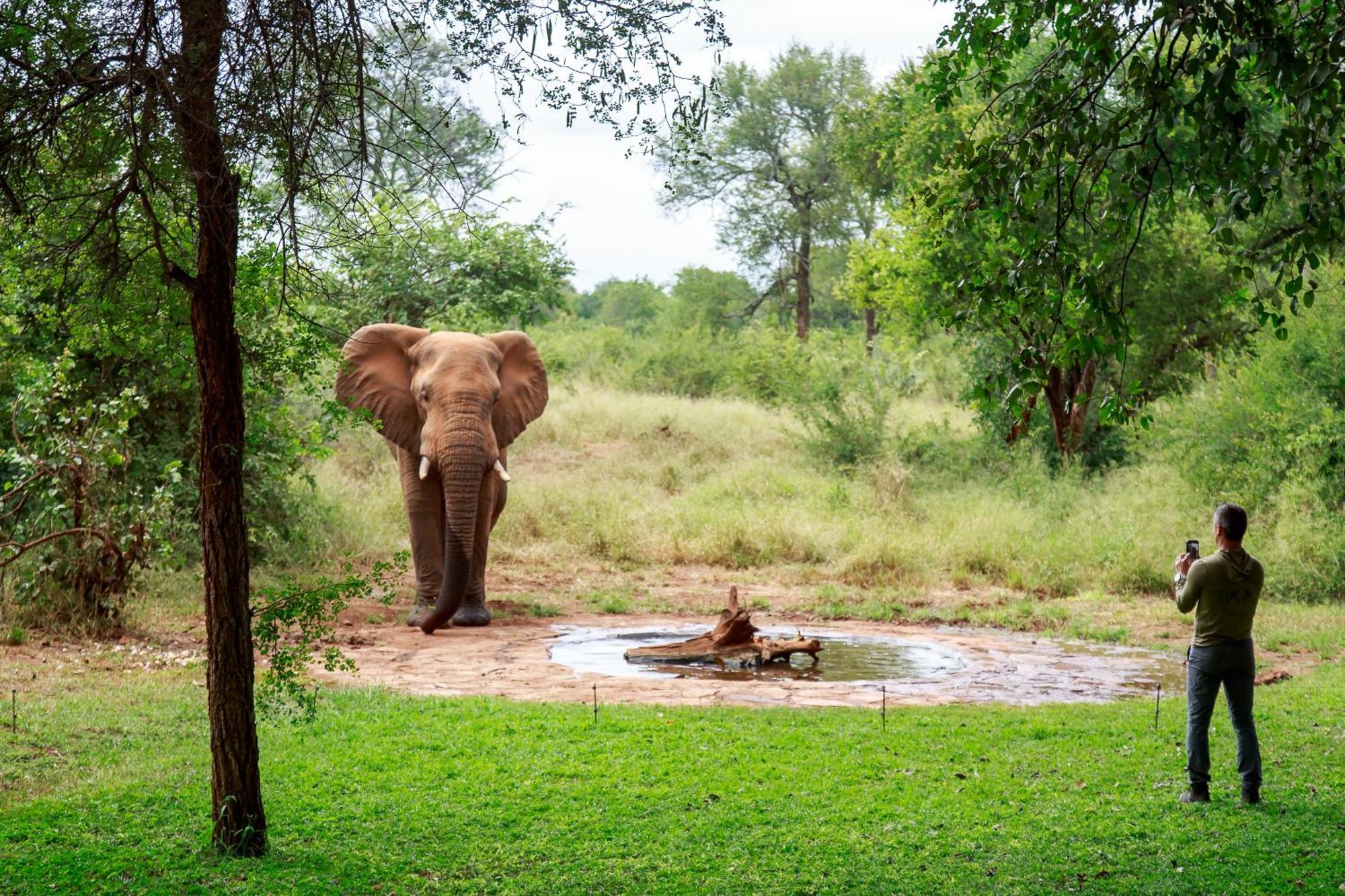 Sable Creek Safari Lodge Tzaneen Eksteriør billede